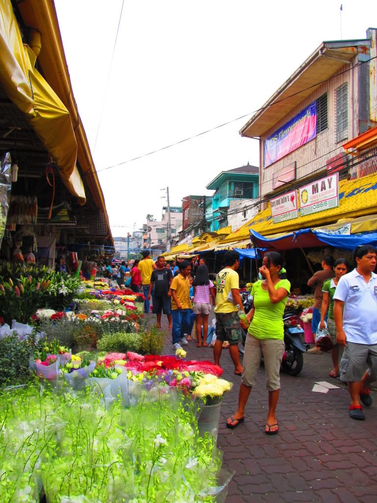 FLORAL BUDGET Trip to Dangwa to Find the Cheapest Dangwa Flowers (3/3